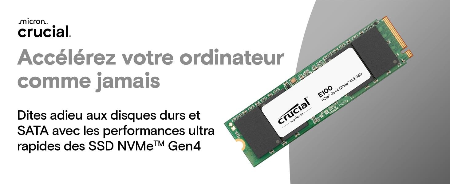 Crucial E100 M.2 PCIe NVMe 1 To